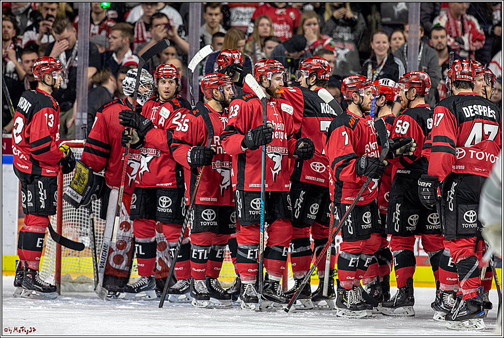 DEL; Koelner Haie - Thomas Sabo Ice Tigers Nuernberg, 19.02.2019